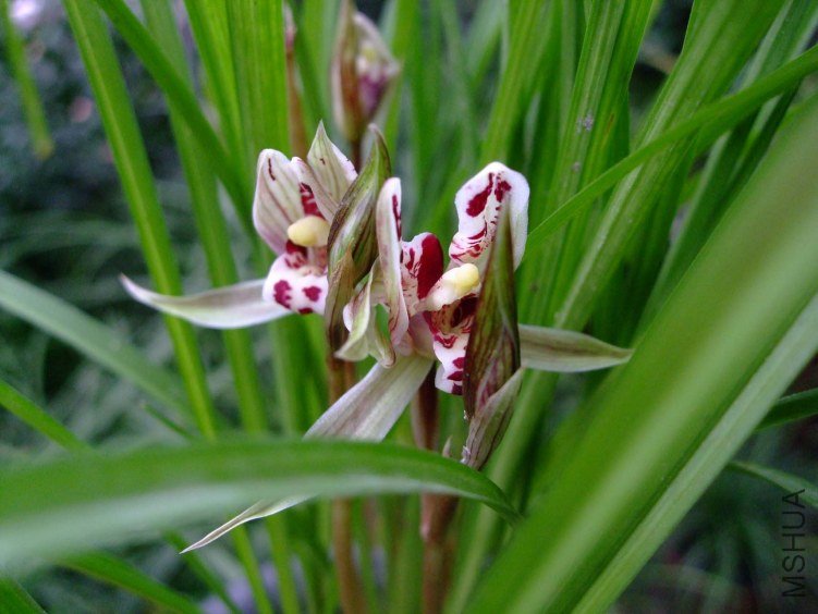 ��ɽ��� 2013-2-27 073.jpg