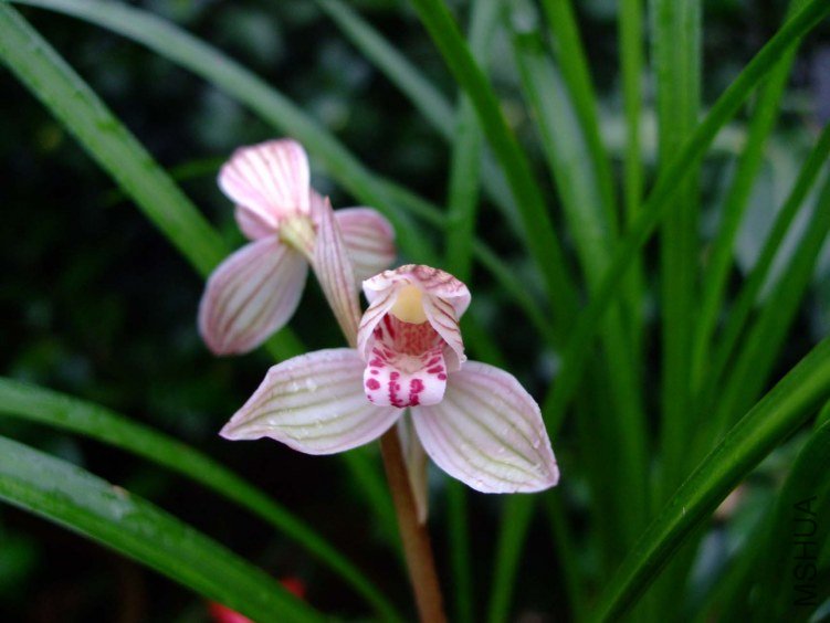 ���� 2013-2-26 033.jpg