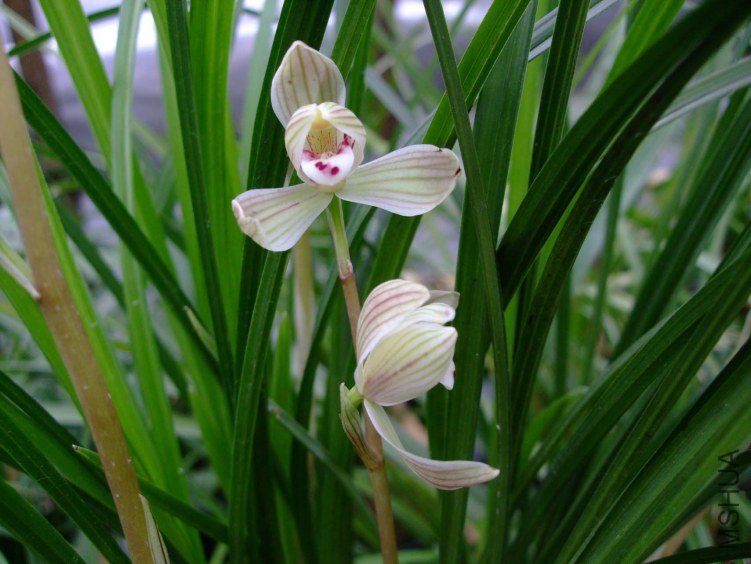 ���÷ 2013-2-27 122.jpg