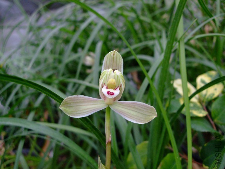 ���÷ 2013-2-27 126.jpg