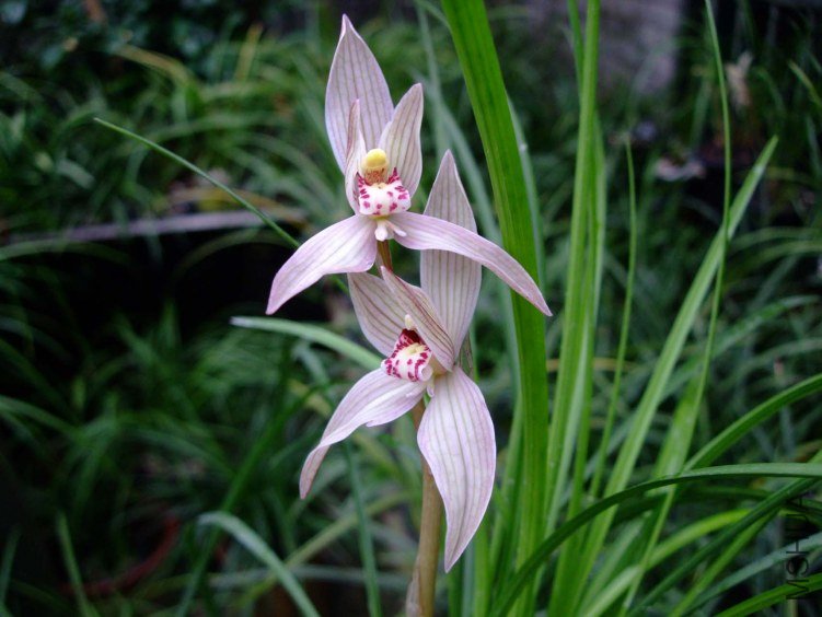 �ƽ𺣰� 2013-2-26 011.jpg