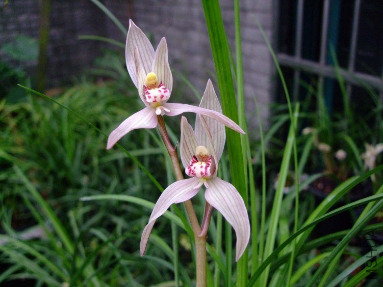 �ƽ𺣰� 2013-2-27 081.jpg