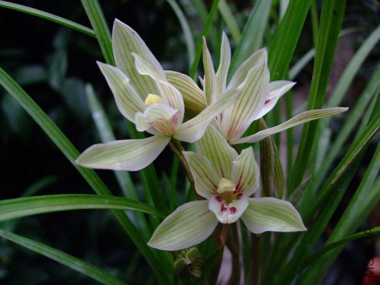 ������ 2013-2-26 077.jpg