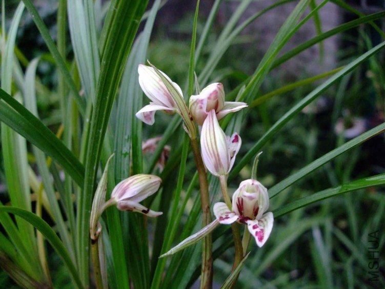 ������ 2013-2-26 014.jpg