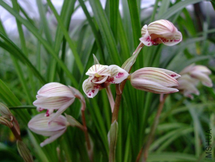 ������ 2013-2-27 131.jpg