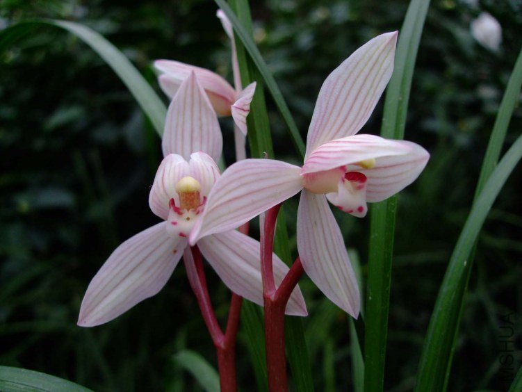 ��طۺ� 2013-2-27 072.jpg