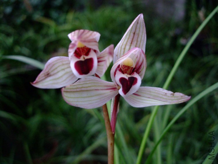 ������ӡ 2013-2-26 009.jpg