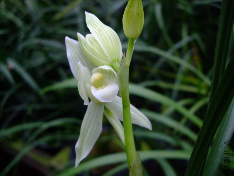 ������(����) 2013-2-26 063.jpg