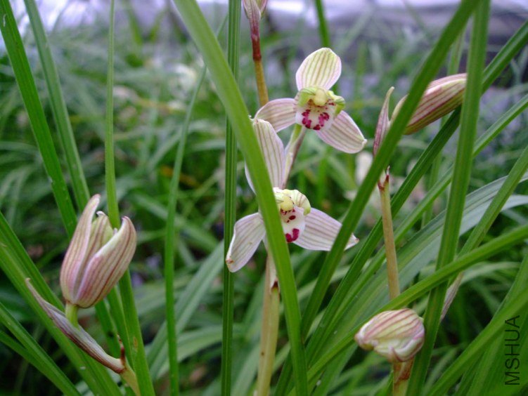 ����÷ 2013-2-27 038.jpg