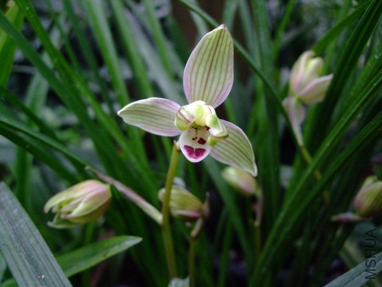 ����÷ 2013-2-27 140.jpg