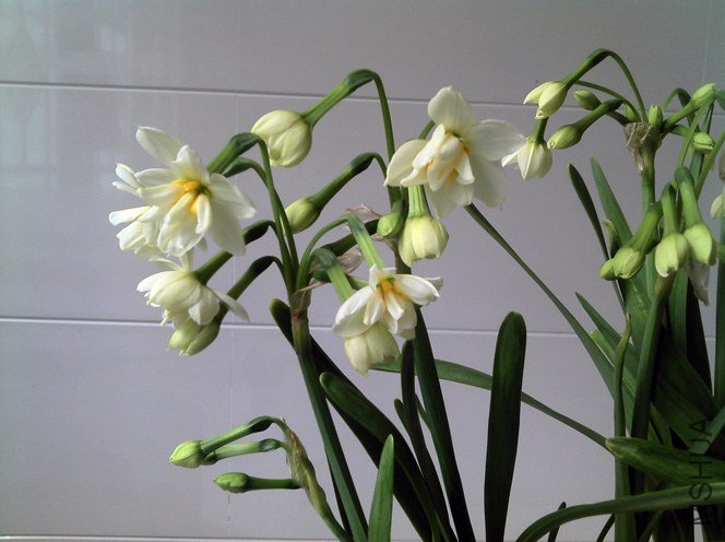 2013-02-16_12-31-56_485.jpg