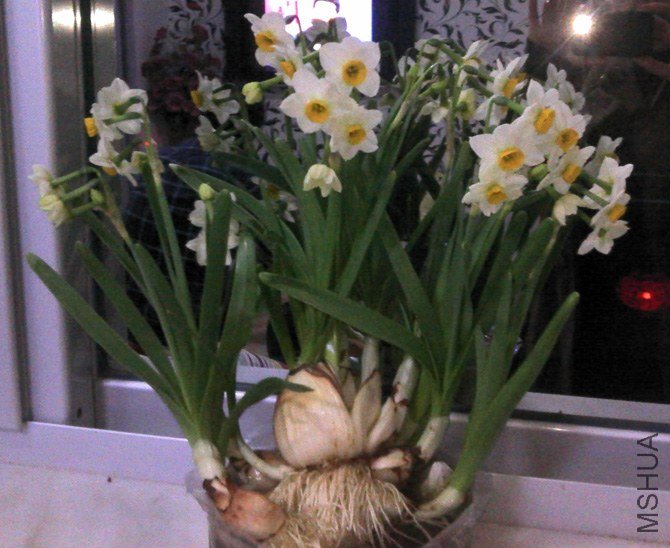 2013-02-16_19-27-01_304.jpg