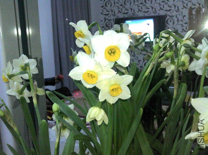 2013-02-16_19-28-02_164.jpg