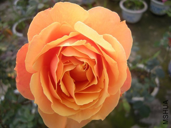 ����2 of һ����Ѯ.jpg