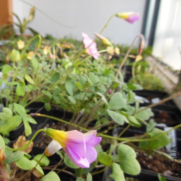 QQ��ͼ20130228082507.jpg