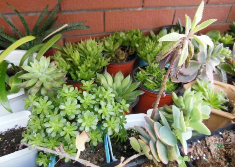 QQ��ͼ20130228082646.jpg