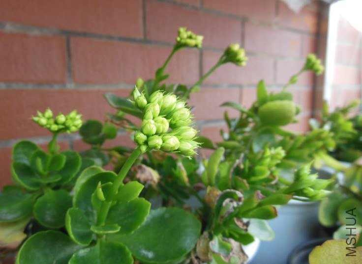 QQ��ͼ20130228082712.jpg