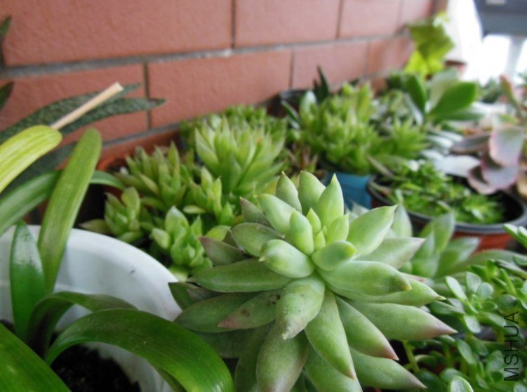 QQ��ͼ20130228082720.jpg