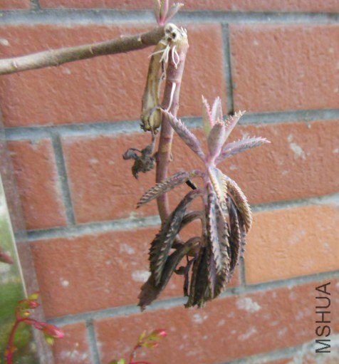 QQ��ͼ20130228082747.jpg