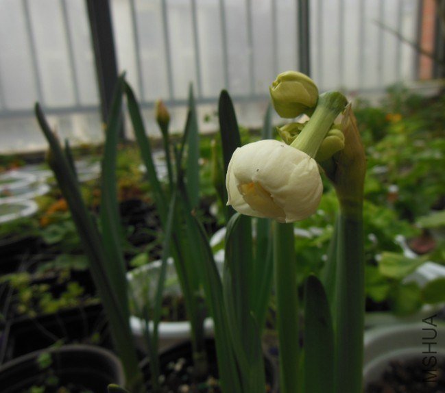 QQ��ͼ20130228082808.jpg