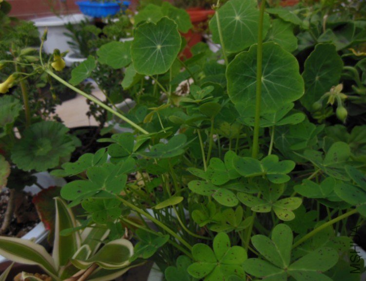 QQ��ͼ20130228082822.jpg