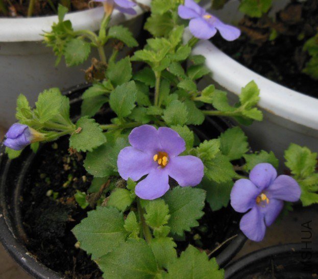 QQ��ͼ20130228082832.jpg