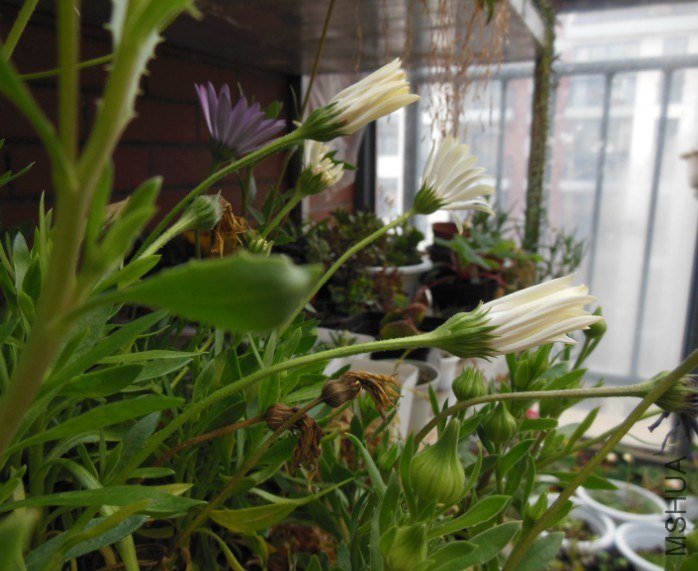 QQ��ͼ20130228082840.jpg