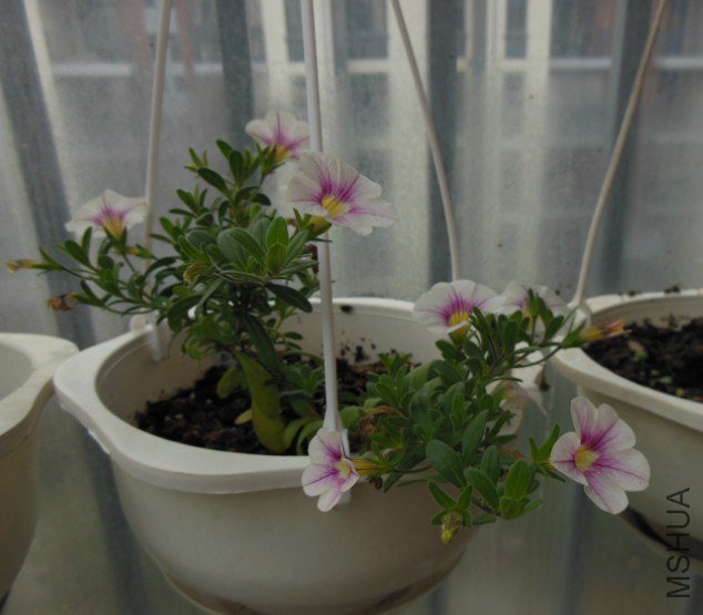 QQ��ͼ20130228082906.jpg