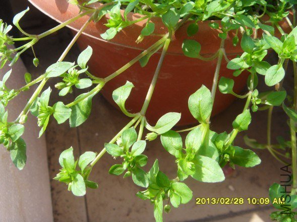 QQ��ͼ20130228102718.jpg