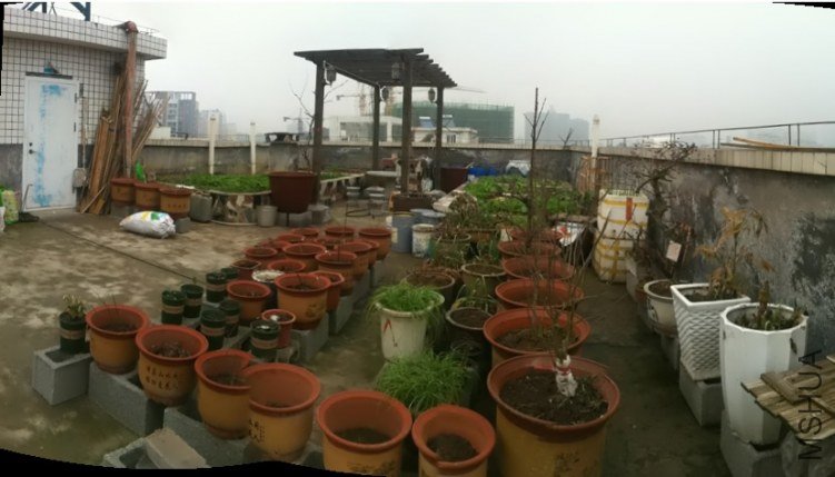 20130228105751221.JPG