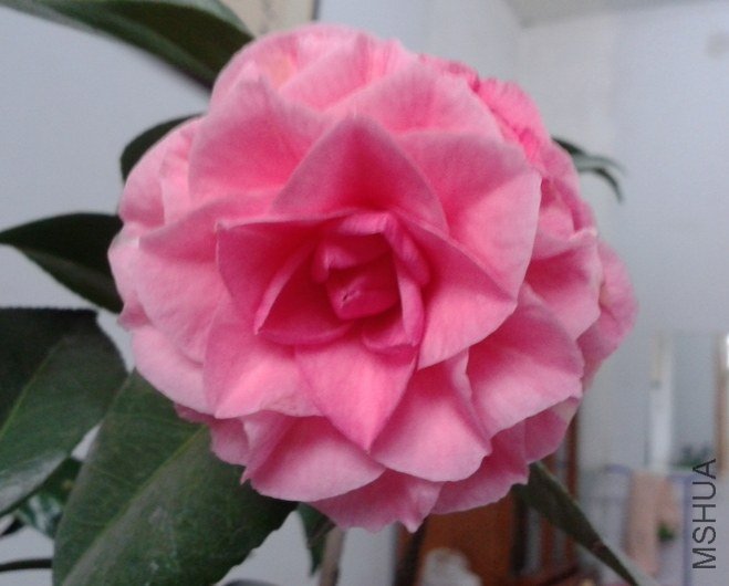 20130228_100441.jpg