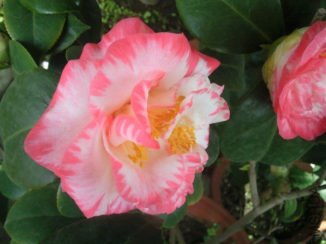 ��Ƭ075.jpg
