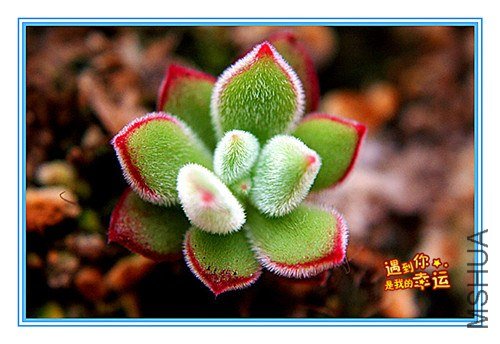 ��Ƭ 037_����.jpg