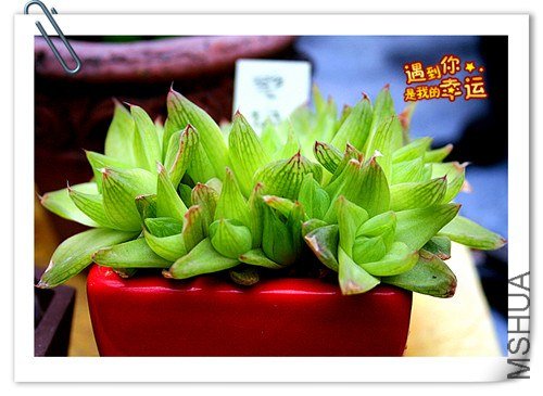 ��Ƭ 055_����.jpg