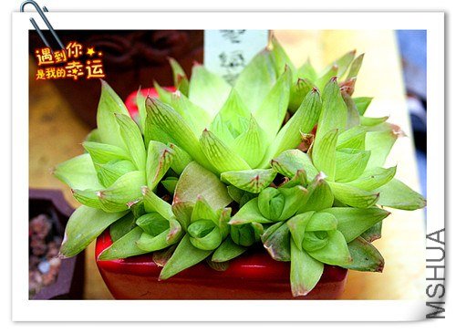 ��Ƭ 056_����.jpg