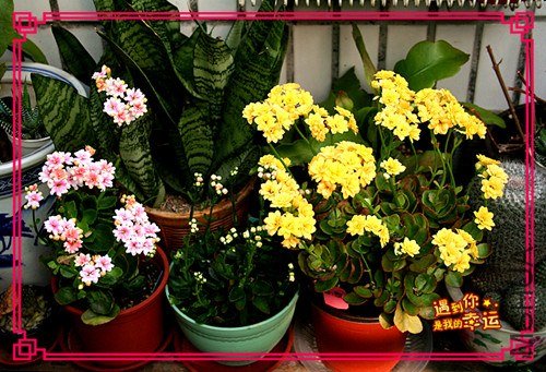 ��Ƭ 109_����.jpg