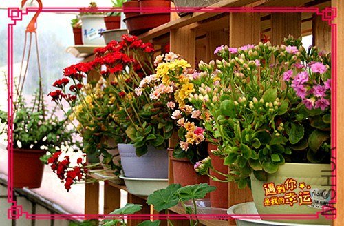 ��Ƭ 100_����.jpg