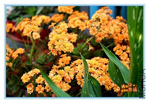 ��Ƭ 106_����.jpg