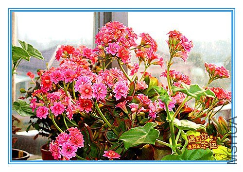 ��Ƭ 108_����.jpg