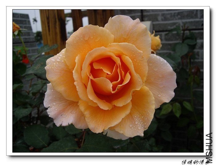 ������6 of ���������  .jpg