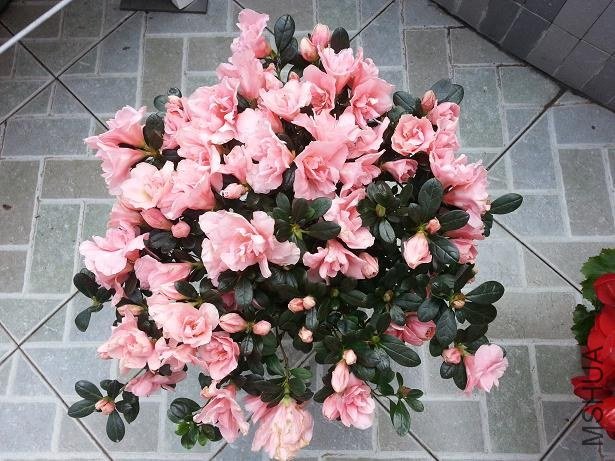 20130225_145144.jpg