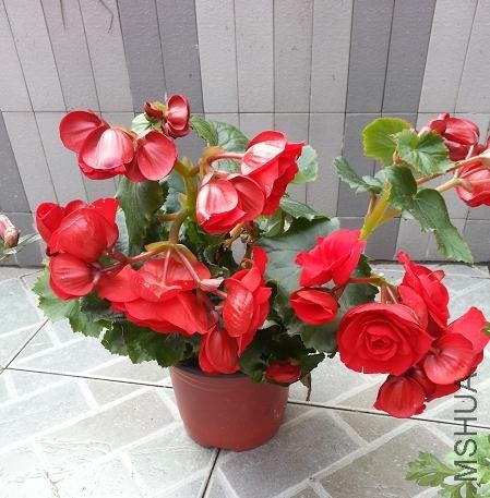 20130225_145000.jpg