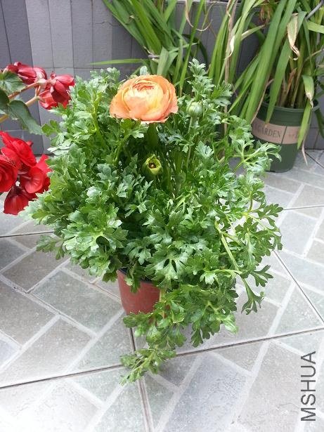 20130225_145011.jpg