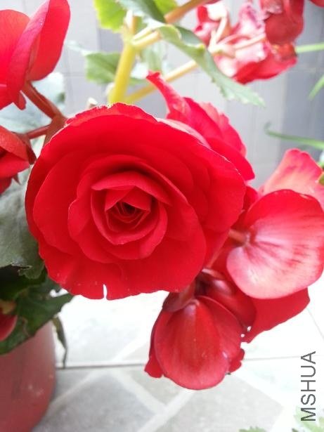 20130225_145027.jpg