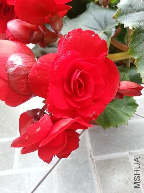 20130225_145048.jpg