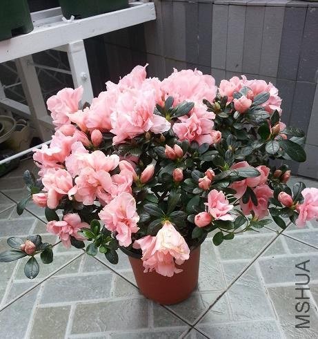 20130225_145131.jpg