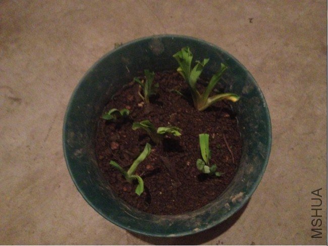 QQ��ͼ20130228211732.jpg