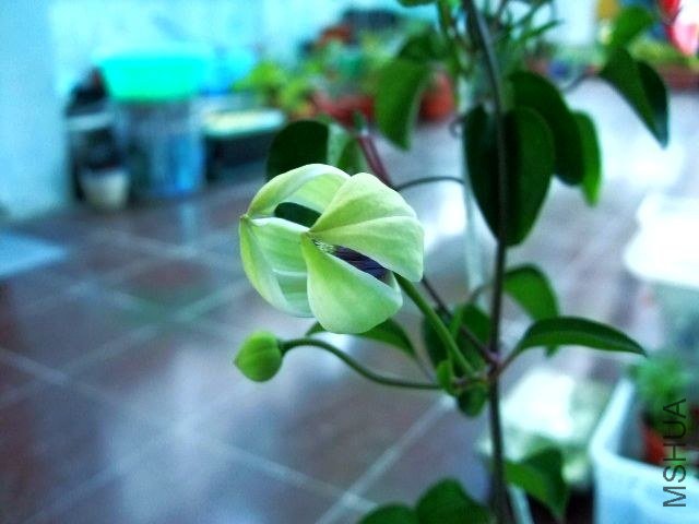 DSCF0859.JPG