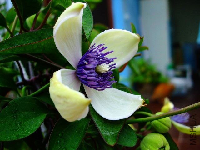 DSCF0803.JPG