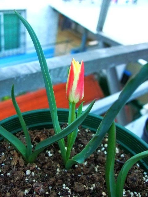 DSCF0865.JPG